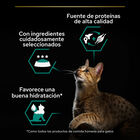 Pro Plan Adult Maintenance Frango em lata para gatos, , large image number null